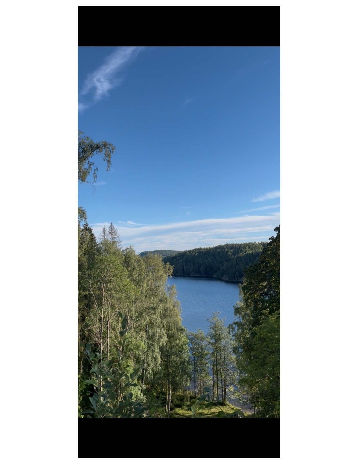 Selgers private bilde. Galleribilde