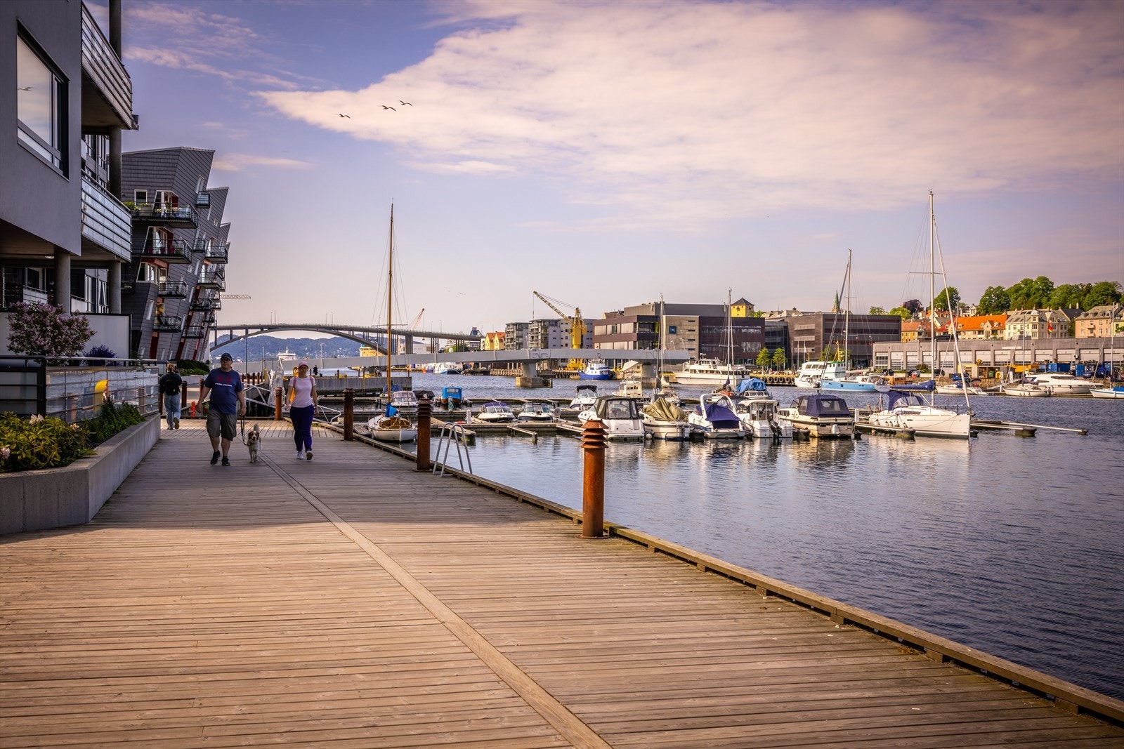 Damsgårdssundet få min fra boligen, har de siste årene gjennomgått en spennende utvikling og fremstår i dag som en moderne og pulserende bydel med flotte promenader, restauranter og dagligvarebutikker. Galleribilde