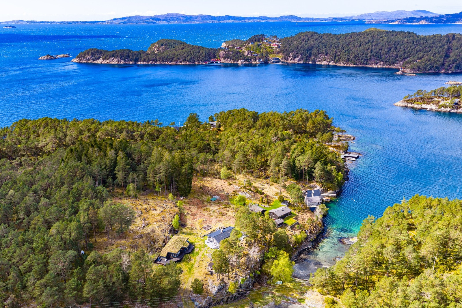 Forstrøno med Skorpo i bakgrunnen Galleribilde