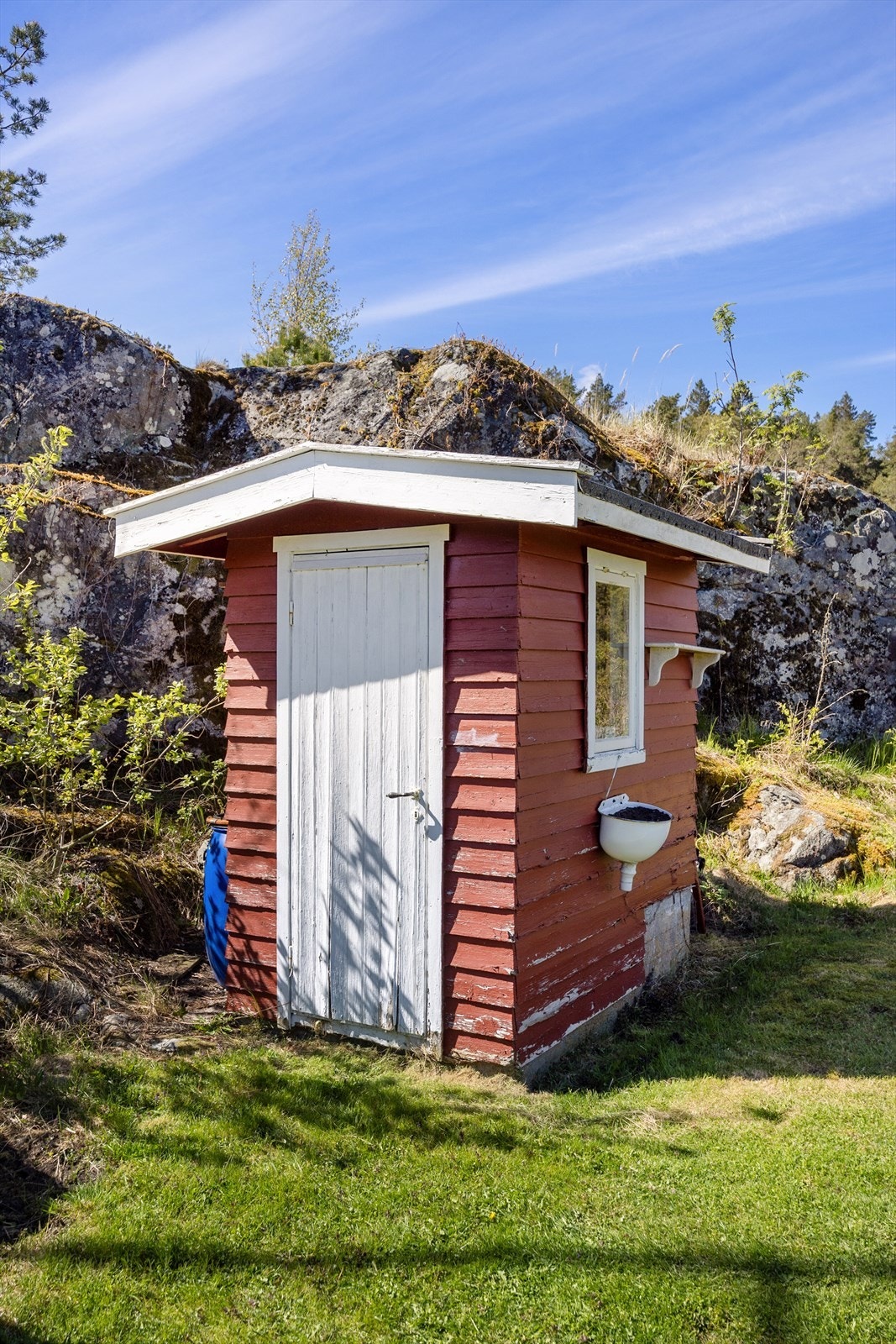 Eiendommen byr på potensiale for vedhogst til eget bruk. Galleribilde