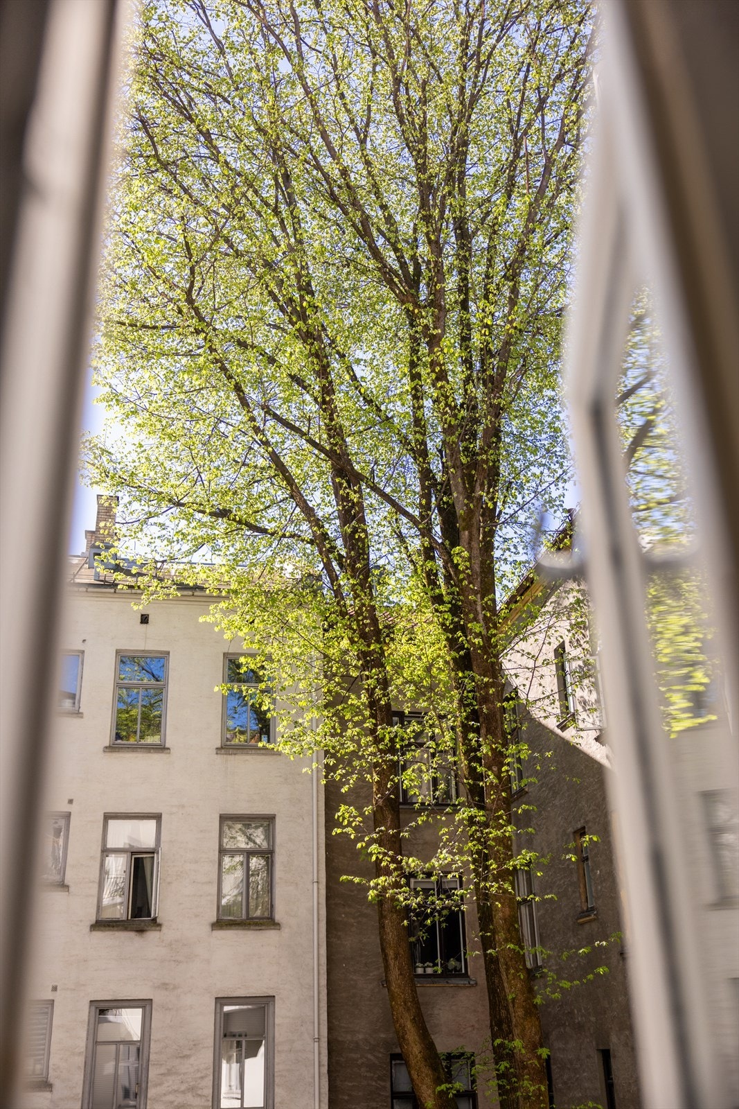 Den skjermede bakgården gir et rolig og tilbaketrukket miljø midt i byen. Galleribilde