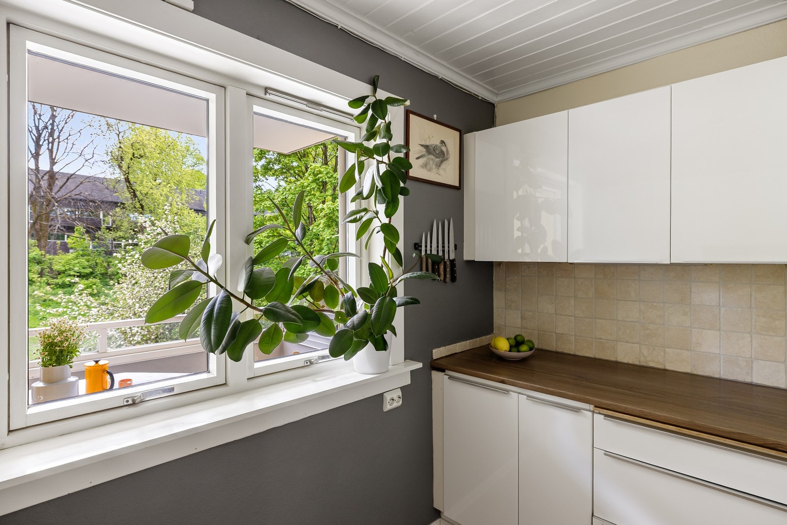 Alle vinduene i leiligheten har fine brede vinduskarmer som er perfekte for planter og dekor. Galleribilde