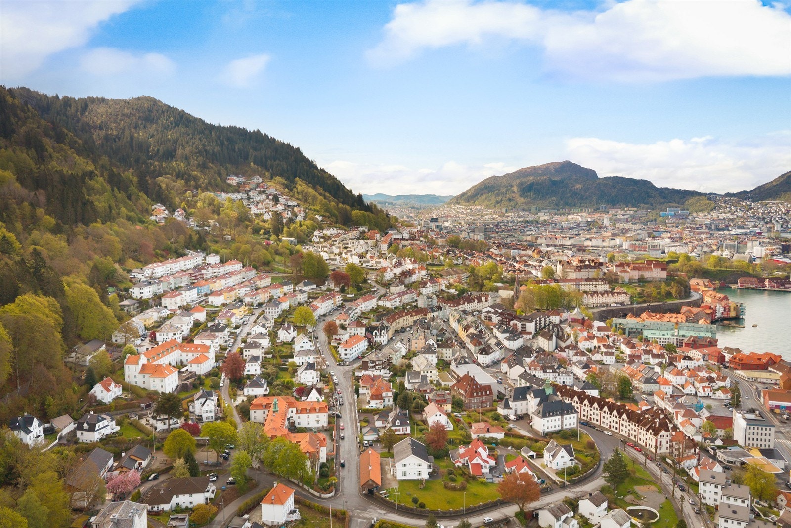 -Et av Bergens mest sjarmerende plasser, idyllisk beliggende mellom byfjell og byliv - Galleribilde