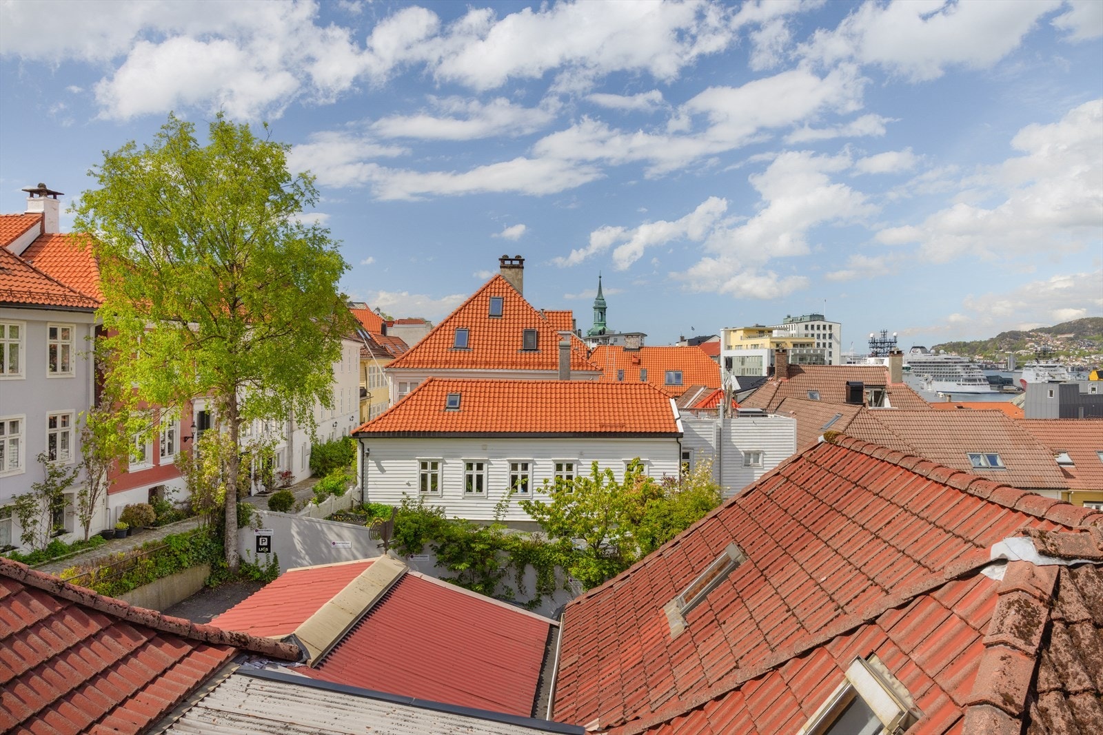 - Ordentlig koselig gate omkranset av historiske Bergenshus og klassiske bygårder - Galleribilde