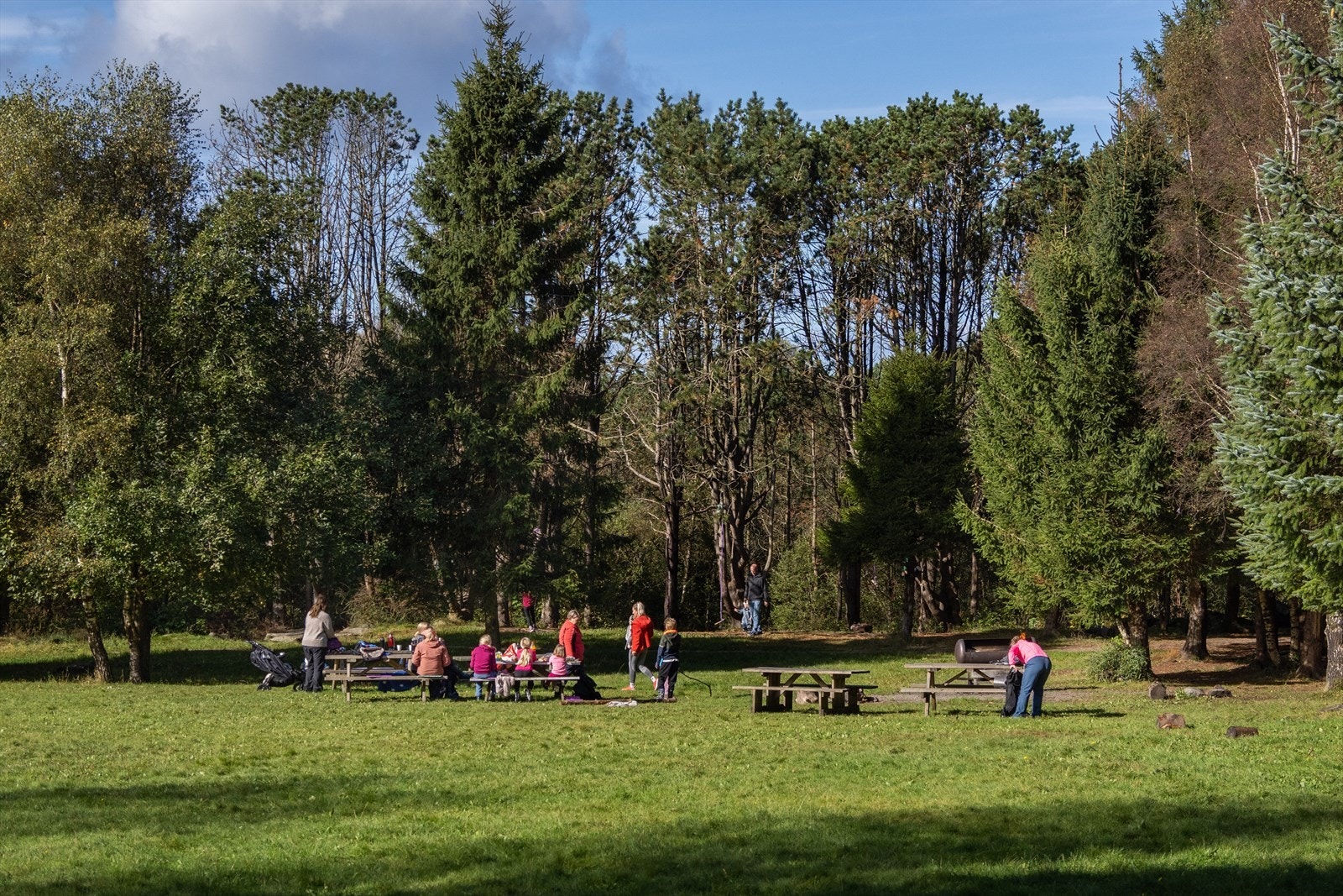 Trollskogen er tilrettelagt med stier, bord, benker og permanente griller, et spennende sted for små og store. Galleribilde