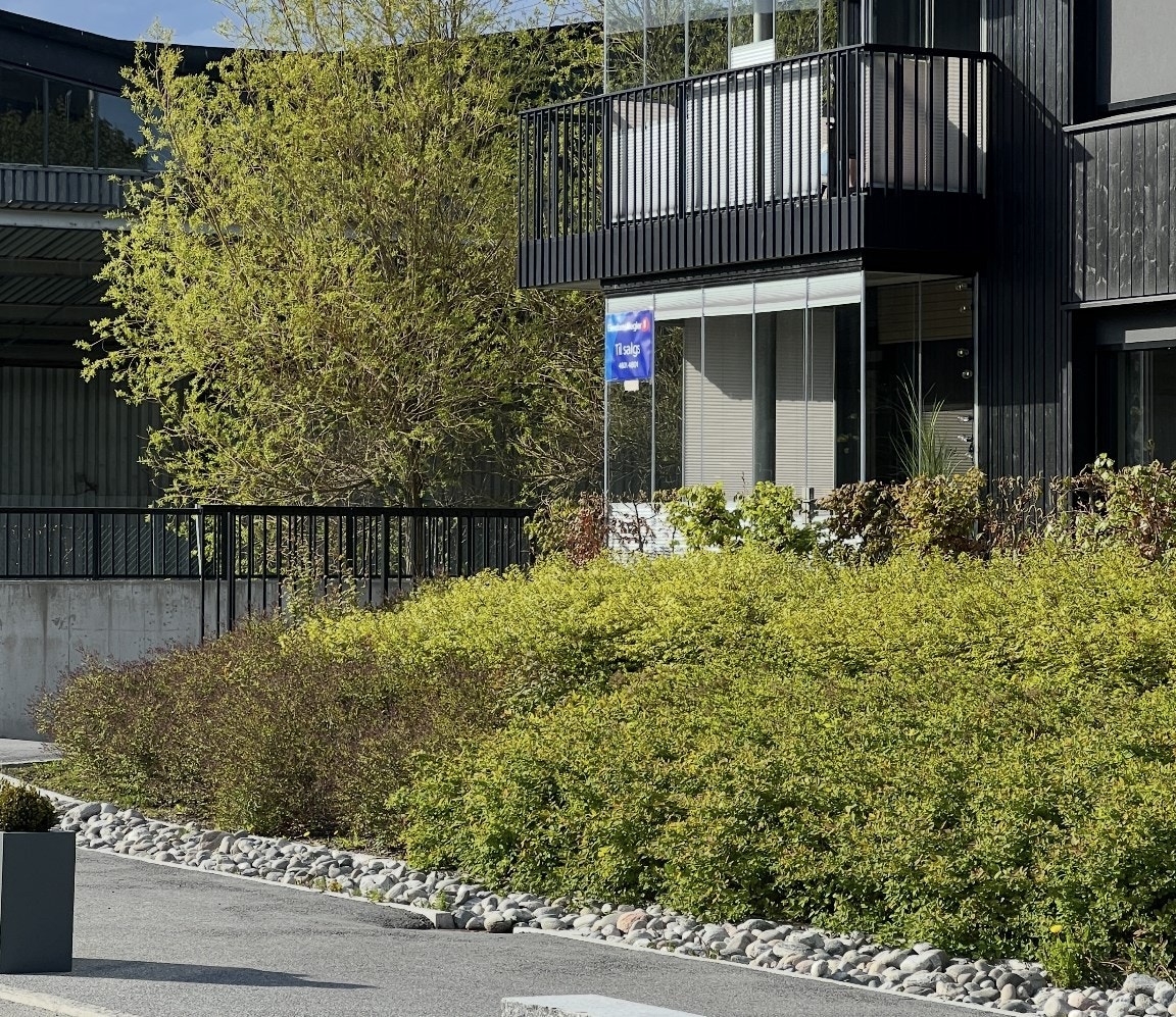 Selgers private bilde. Galleribilde