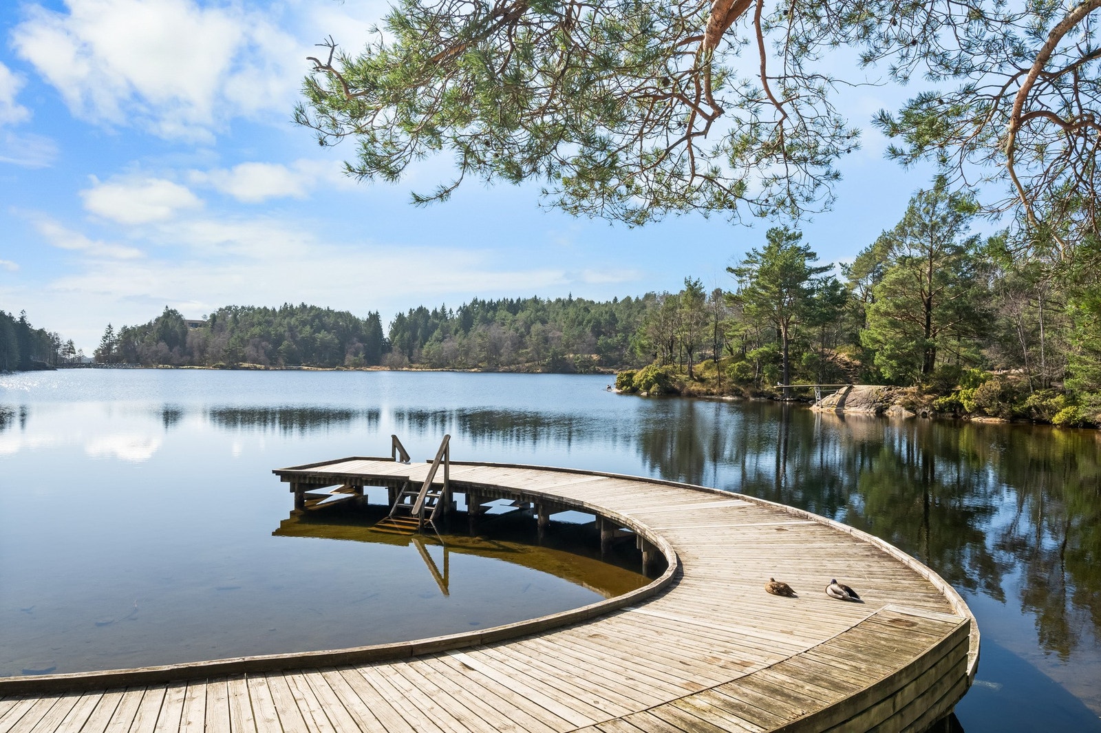 I nærområder er det flere lekre turområder, som blant annet Storavatnet Galleribilde