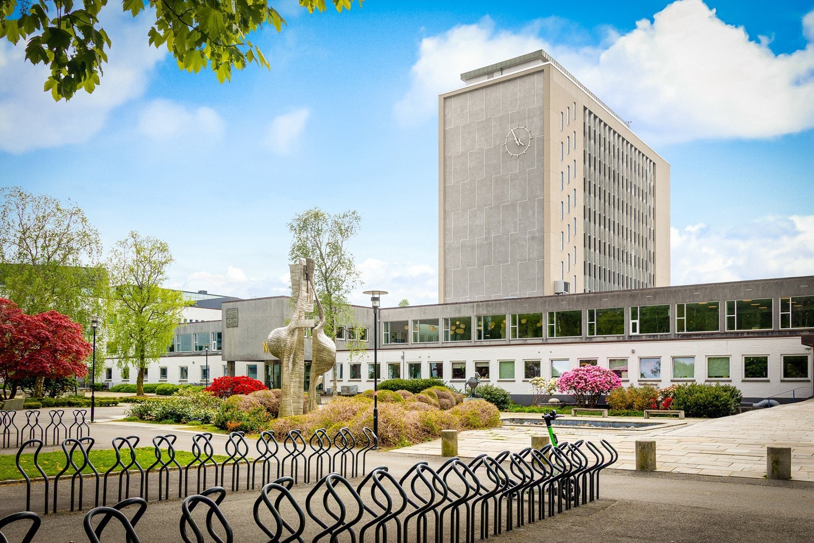 Gangavstand til NHH, apotek, flere dagligvarebutikker og Helleneset. Galleribilde