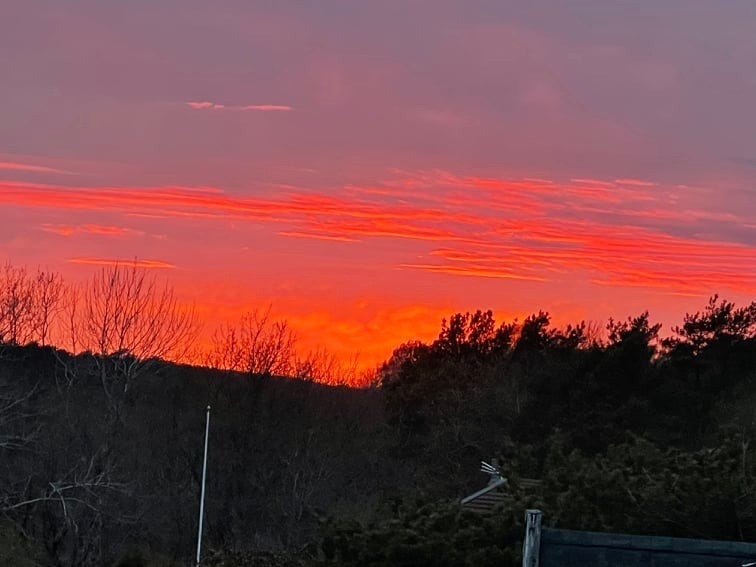 Bilde tilsendt fra selger. Galleribilde