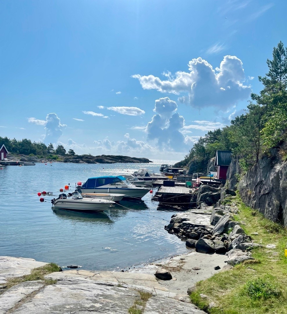 Bilde fra selger: Hyggelig sti til sjøen som er 5 minutter å gå til fra hytten ihht selgers opplysninger. Galleribilde