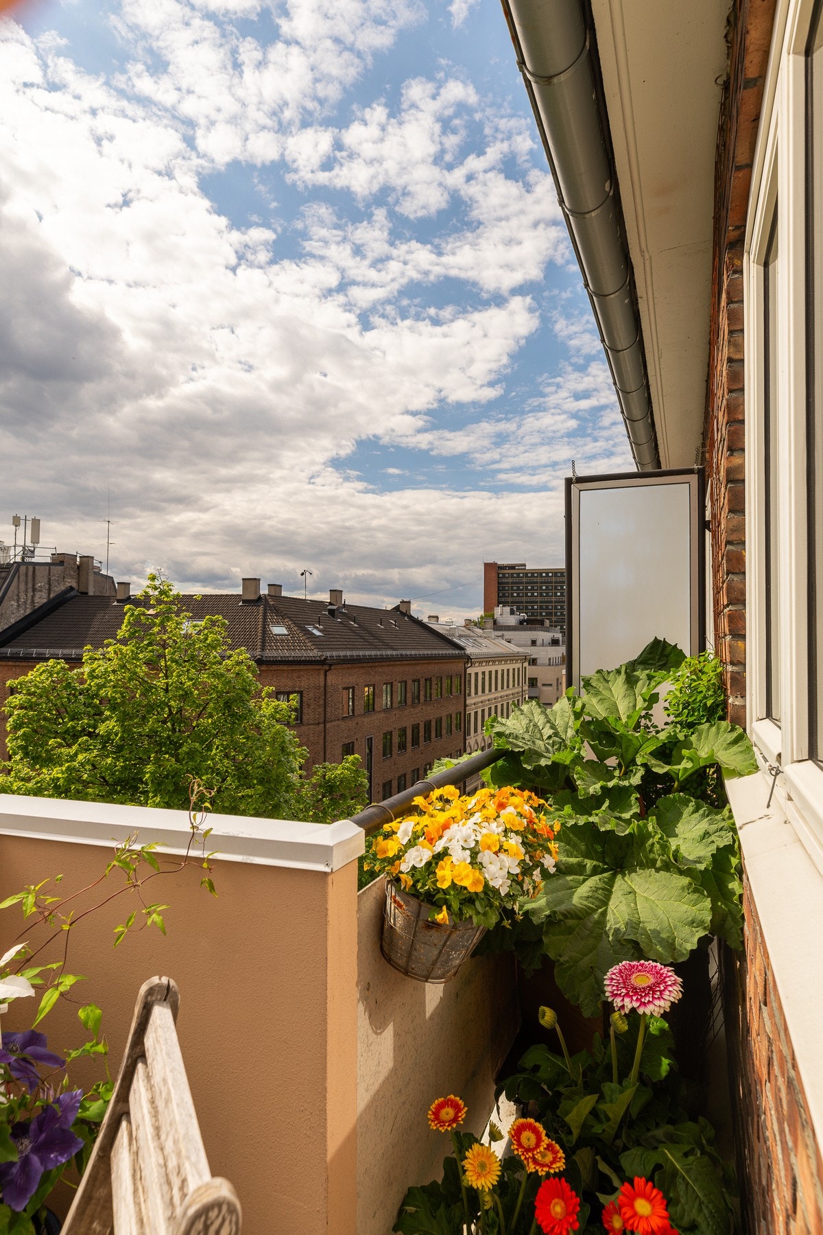 Her er det god plass til blomster og planter. Galleribilde