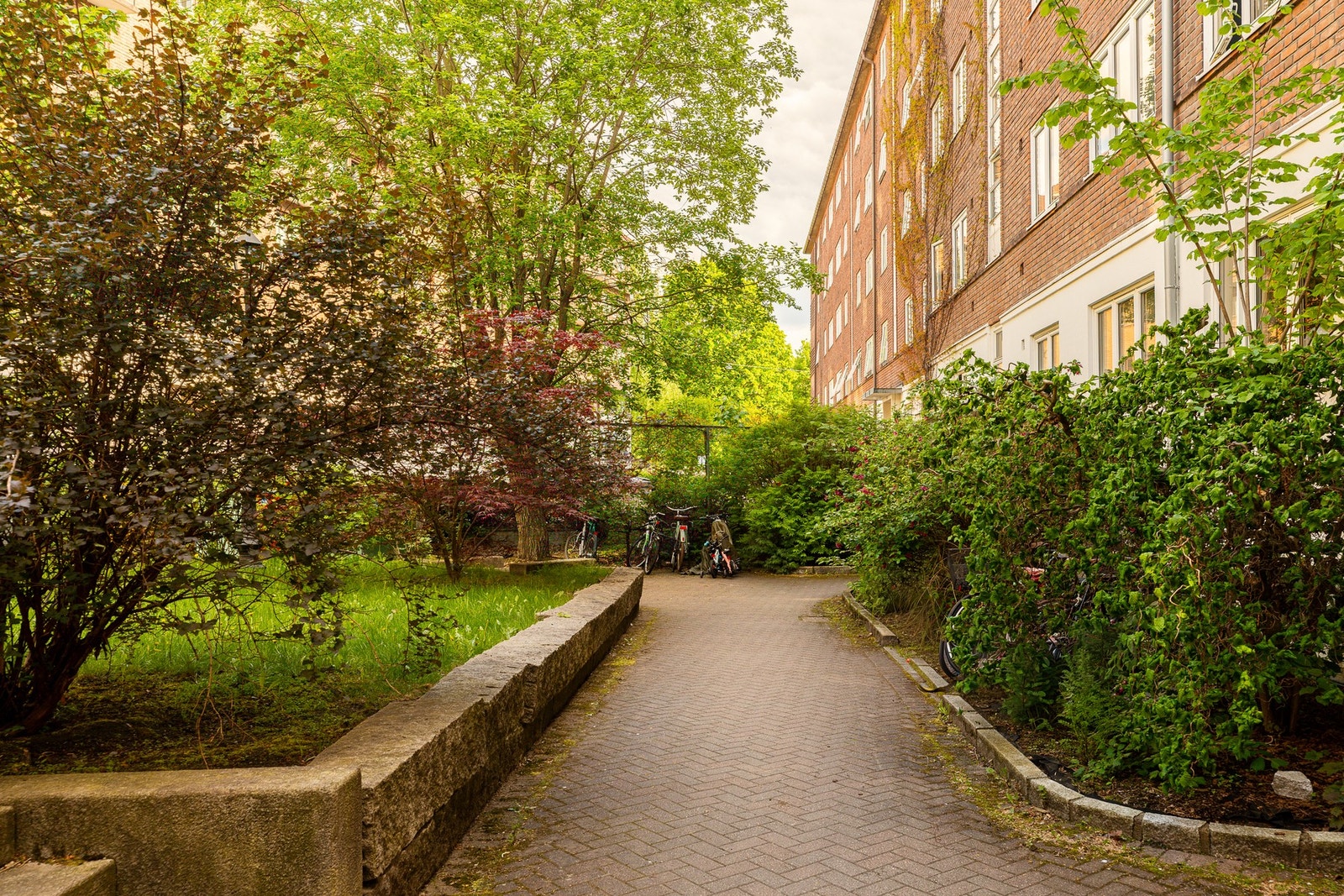 Felles og frodig bakgård med plen, sittegrupper, plantekasser, sykkelparkering, og barnevognsskur Galleribilde