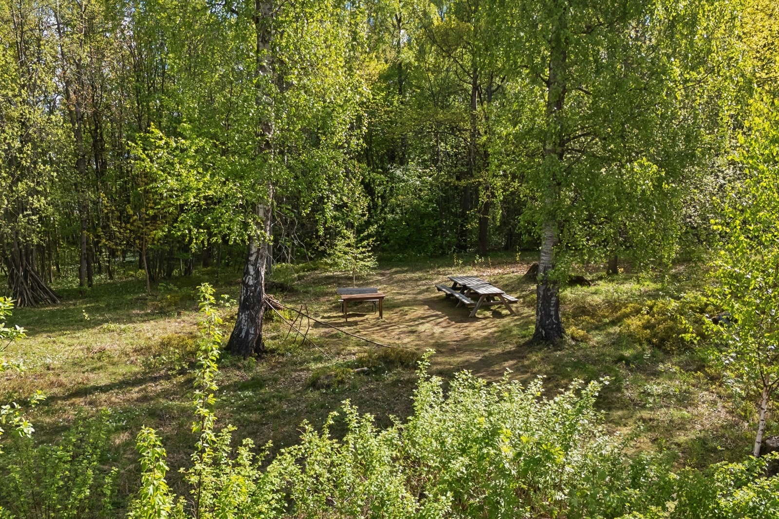 Nærområdet ved borettslaget har benk der man kan nyte naturen og en kaffekopp Galleribilde