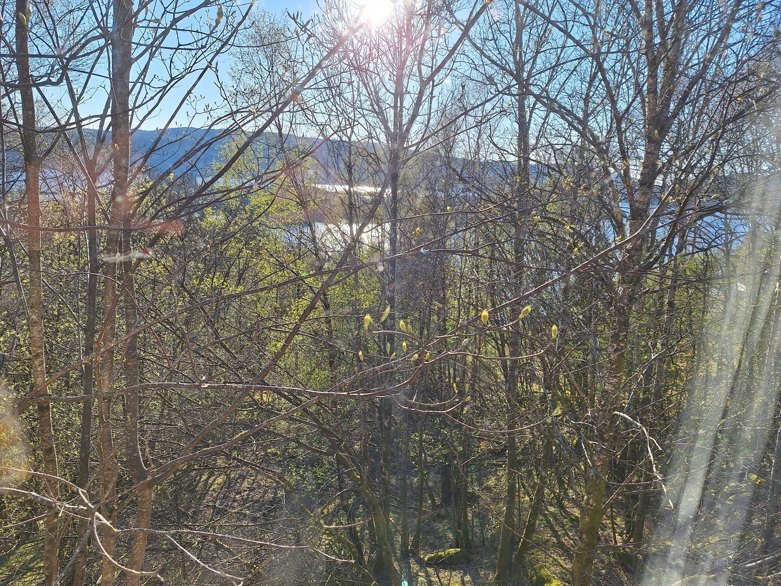 Eiendommen har stort potensiale og ligger fint til med tanke på både utsikt og sol. Galleribilde