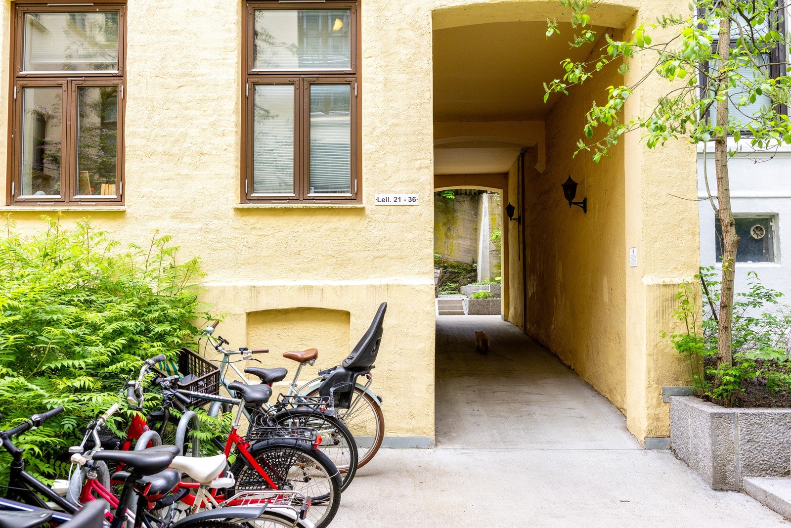 Velkommen til et hyggelig nabolag midt i byen, men i fredfulle omgivelser Galleribilde