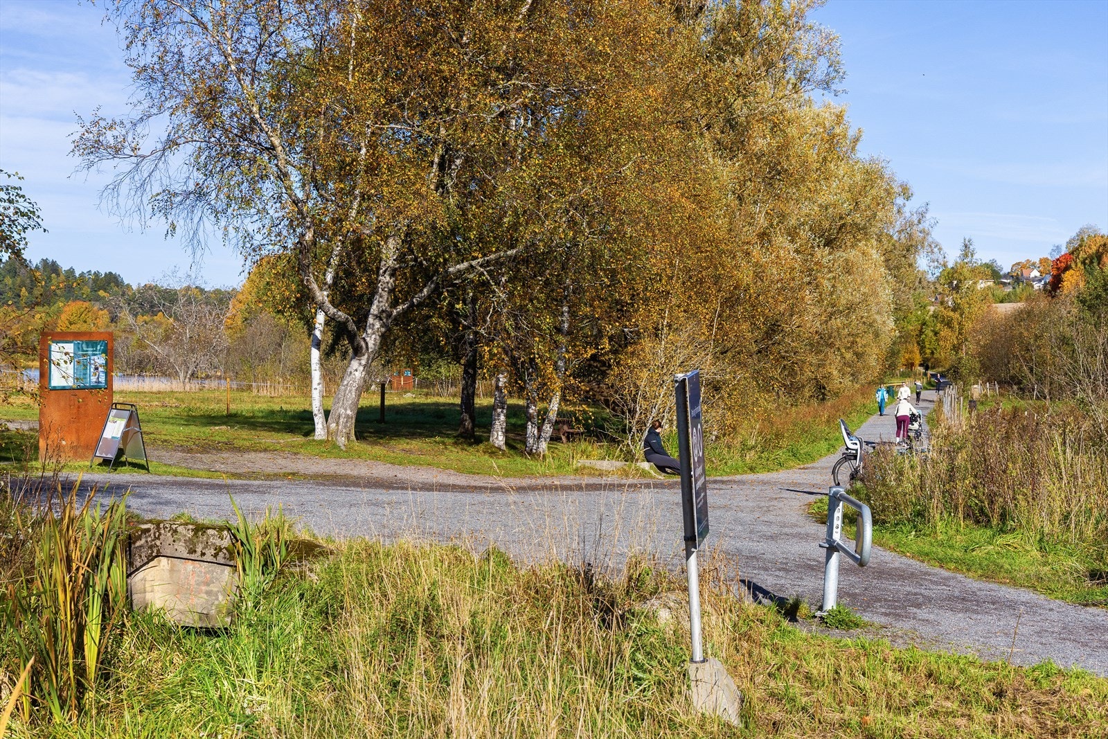 Områdebilde. Galleribilde