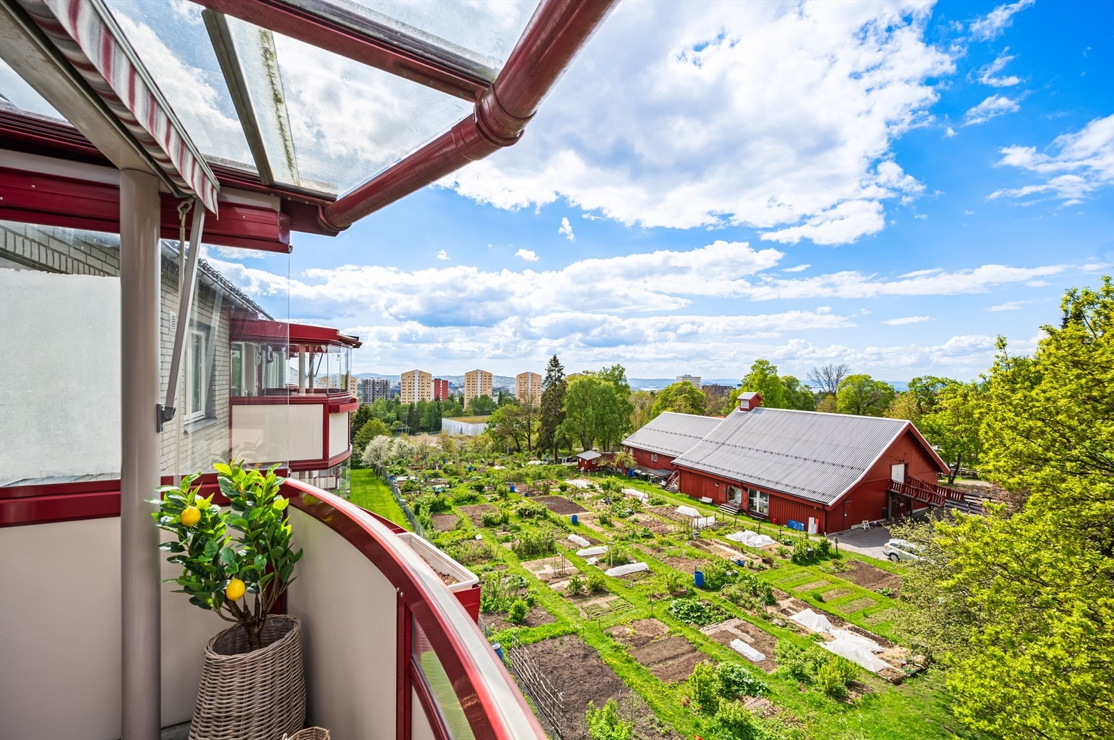 Utsikt mot de historiske bygningene og parsellhagene på Årvoll Gård. Galleribilde