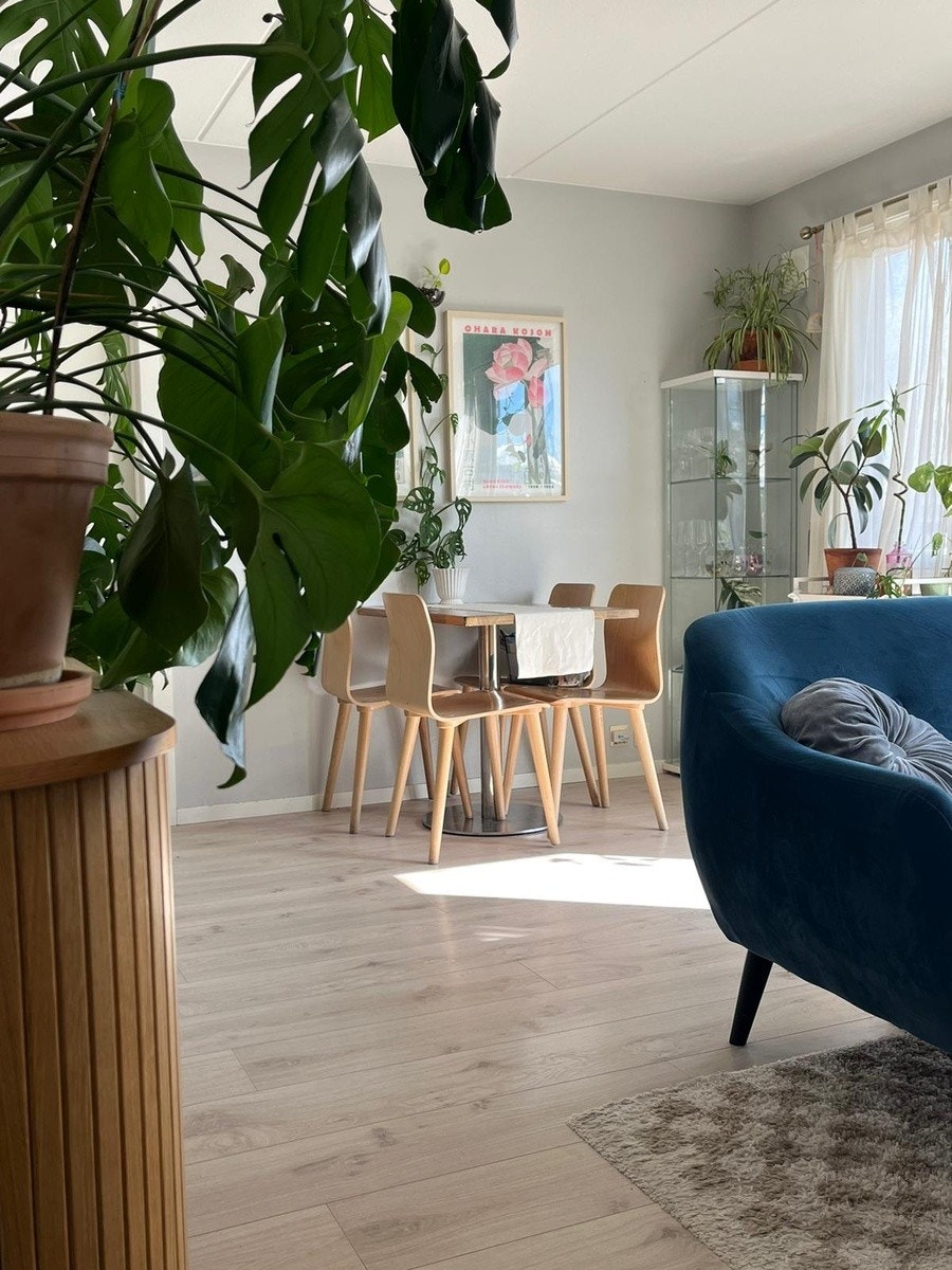 Møblert fellesområde Galleribilde