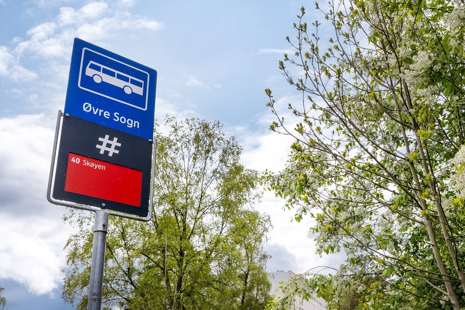 Nærmeste busstopp ligger i umiddelbar nærhet. Galleribilde