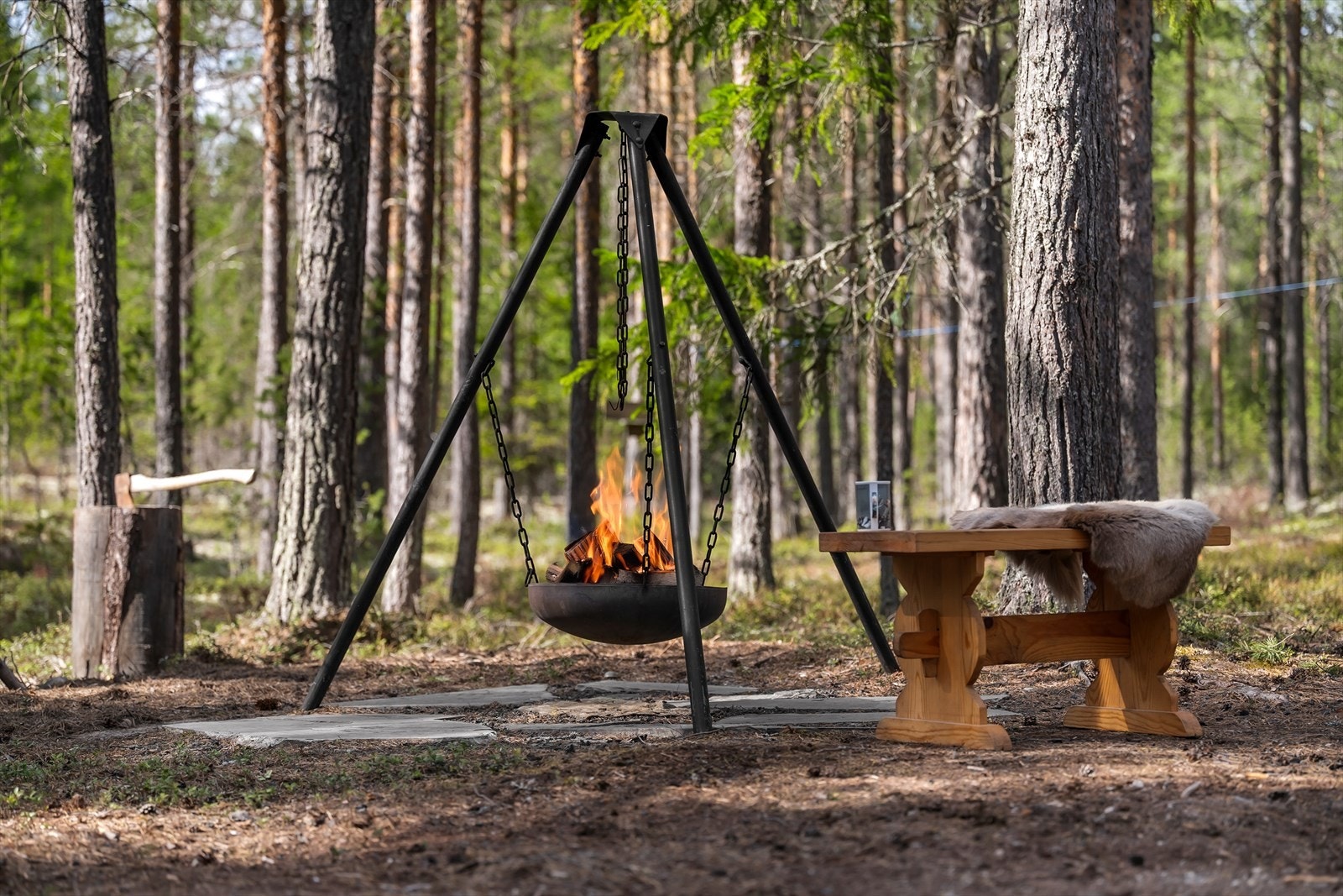 Tomten er en opparbeidet naturtomt med plass til utendørsaktiviteter og rekreasjon. Fotograf: Petter Aamodt Galleribilde