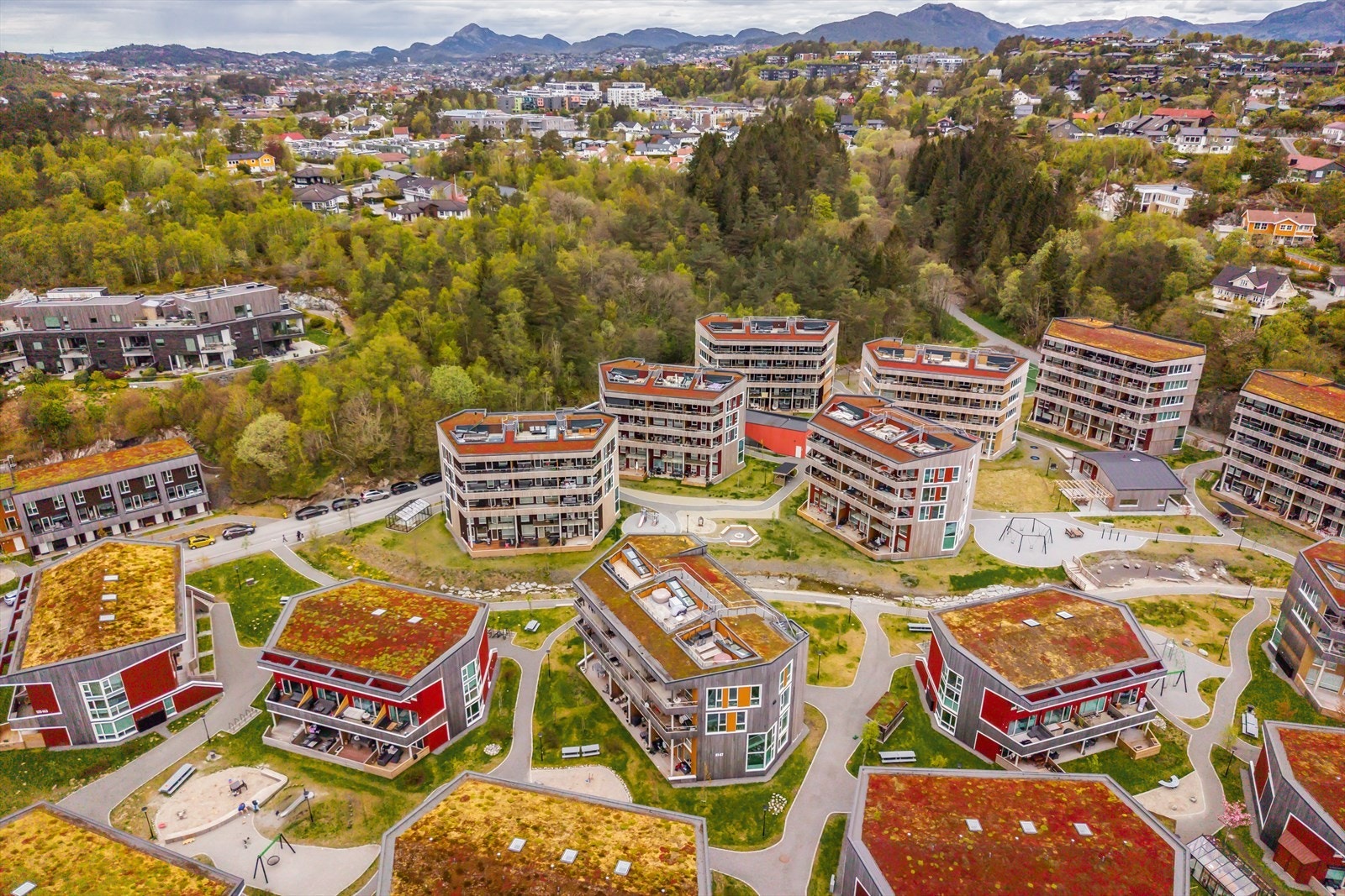 Velkommen på visning! Galleribilde