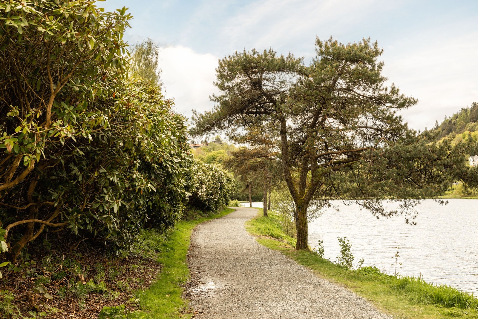 Nydelige turområder ved Tveitvannet, samt som man har Løvstien og flott park ved Storetveitmarken. Galleribilde
