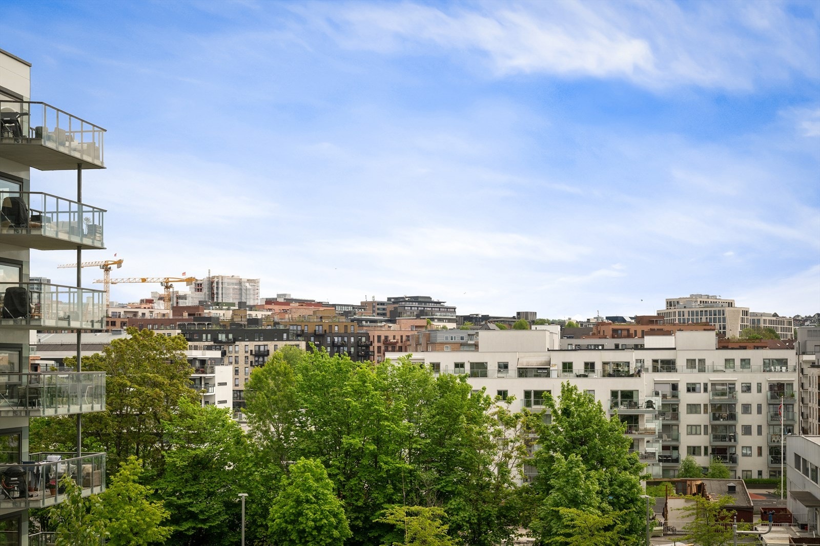 Fantastisk utsikt over nærområdet og Oslo by Galleribilde