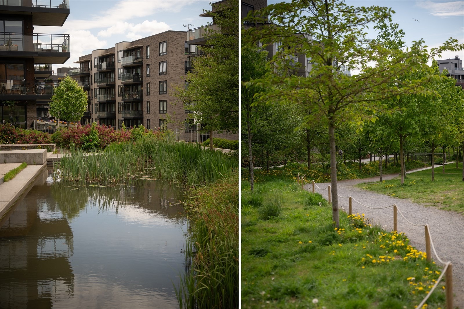 Nærhet til parker og grøntområder som Tøyenparken og Tiedemannsparken Galleribilde