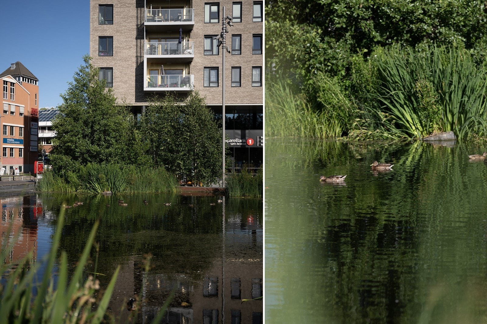 Ensjø kombinerer det sentrale bylivet med rolige og hyggelige omgivelser Galleribilde