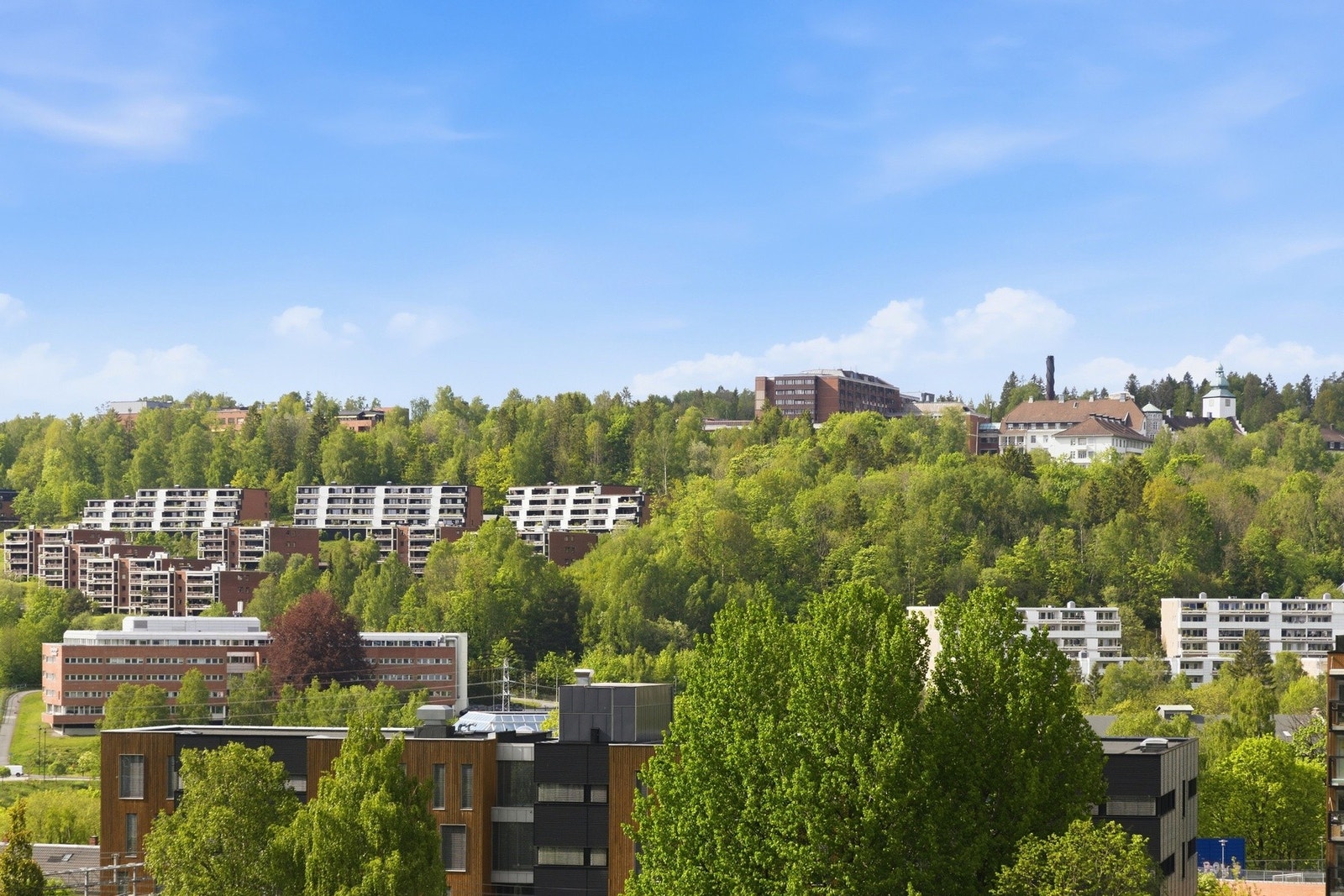 Velkommen til visning! Galleribilde