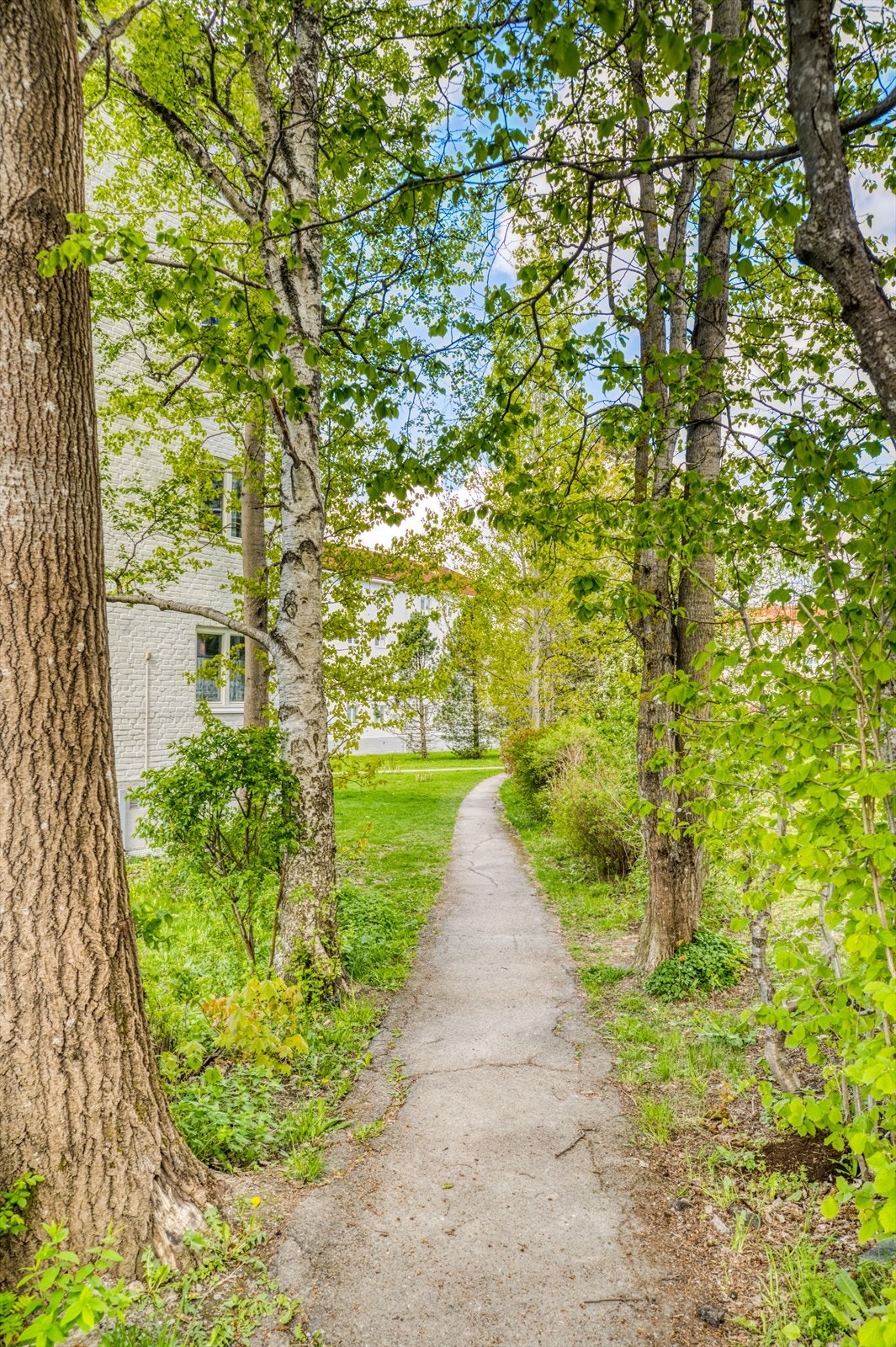 Fra eiendommen er det kort vei til turstier og marka. Galleribilde