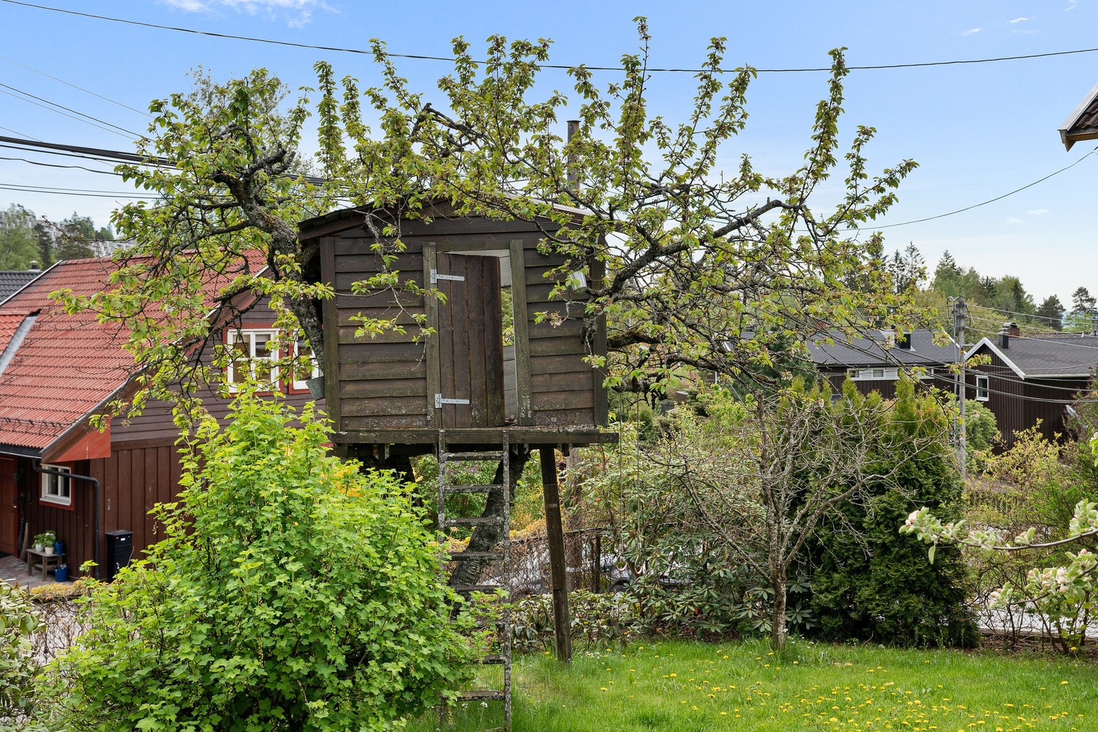 Privat hage. Galleribilde