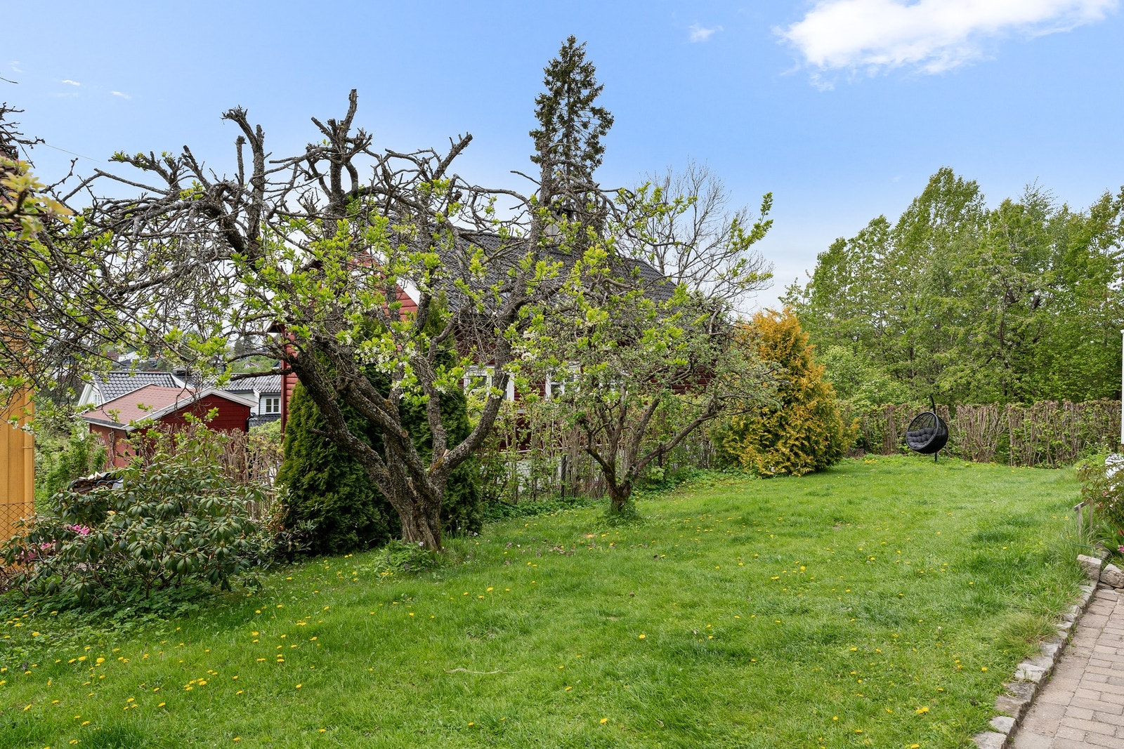 Hagen med epletrær med masse frukt, grønnsakskasser, diger terrasse rett ned i hagen, trampoline, trehytte. Galleribilde