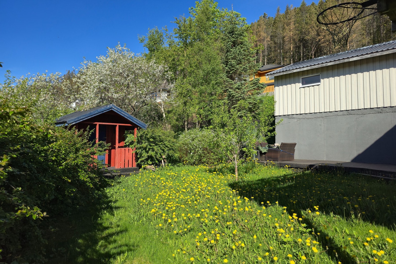 Hage med eple, plomme, moreller og kirsebærtre. Dokkestue for de minste eller ekstra bodplass for de som trenger det. Galleribilde