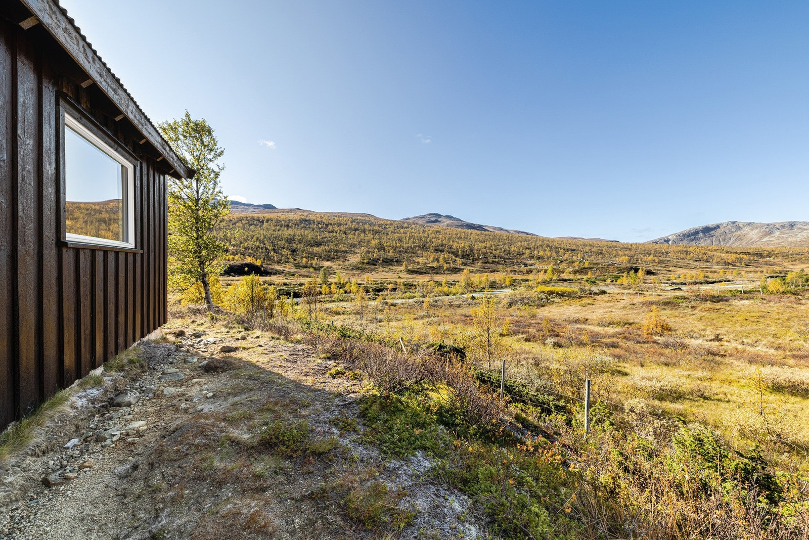 Utsikt fra vestsiden innover Bulidalen Galleribilde