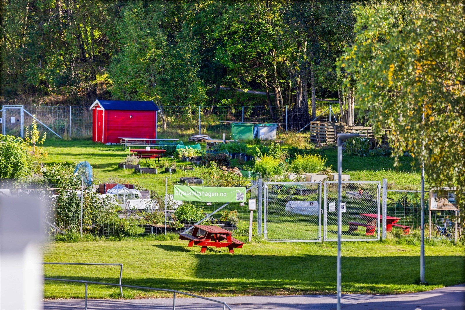 Mulighet for tilgang til felles "gartneri" / parsellhage Galleribilde