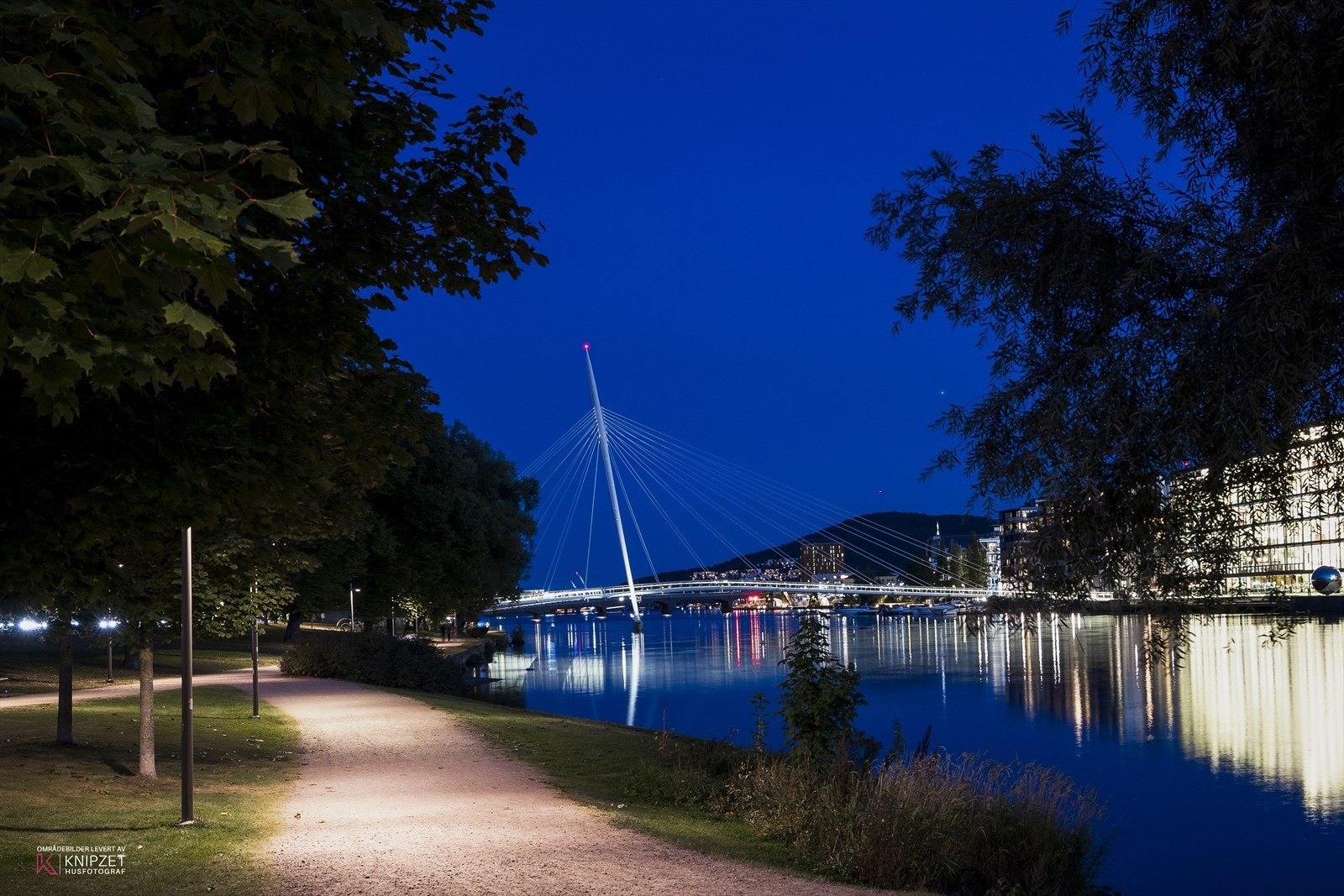 Turveien er en del av et større turveinett som tar deg helt inn til elvepromenaden og Drammen by Galleribilde