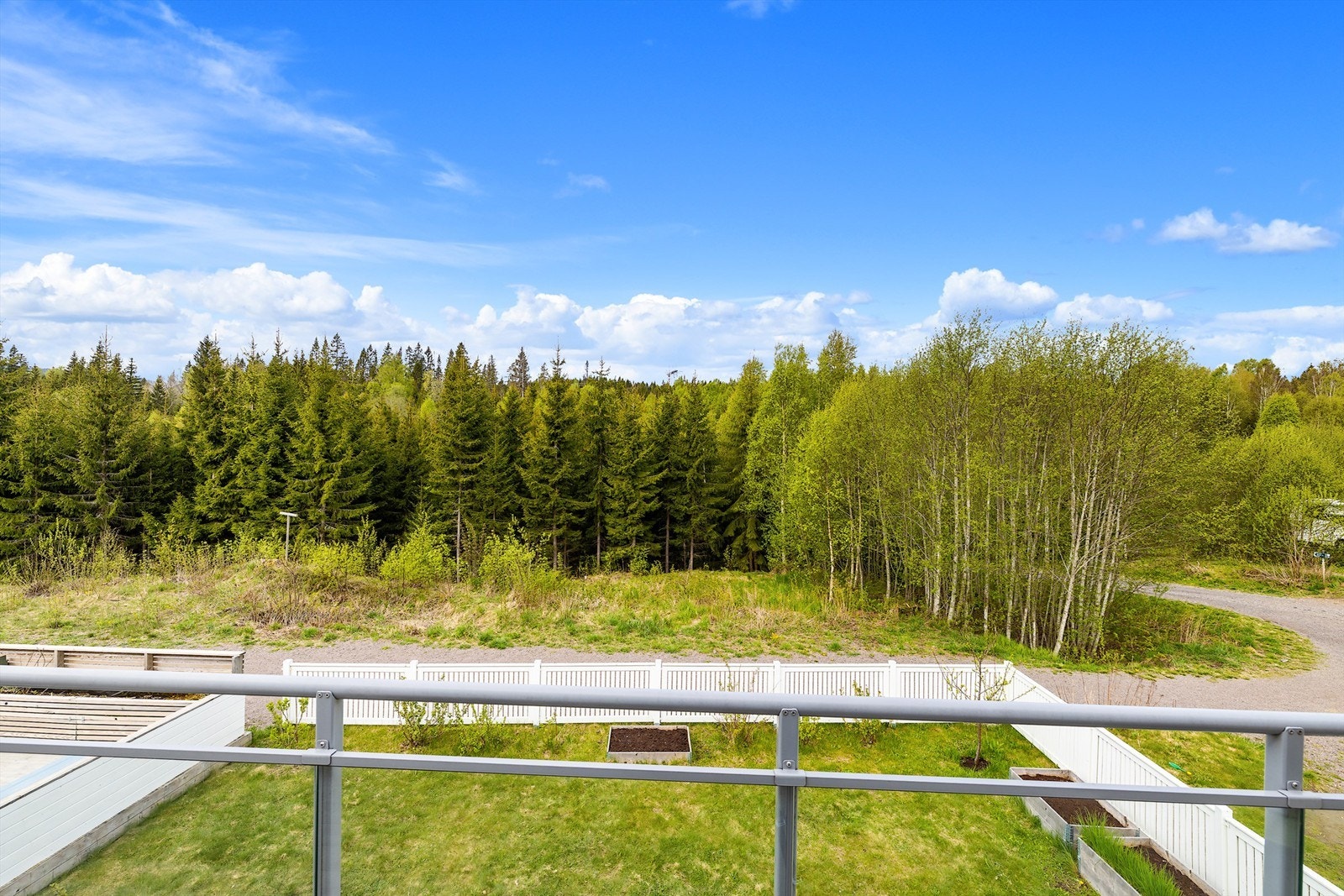 Nydelig utsikt mot skogsområde. Galleribilde