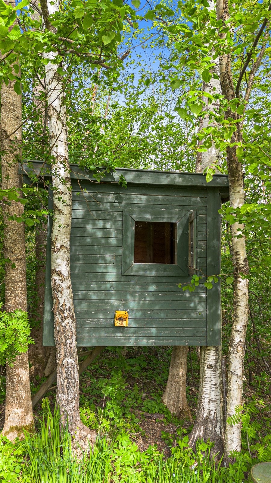 Sjarmerende lekestue i skogen, perfekt for barna. Galleribilde