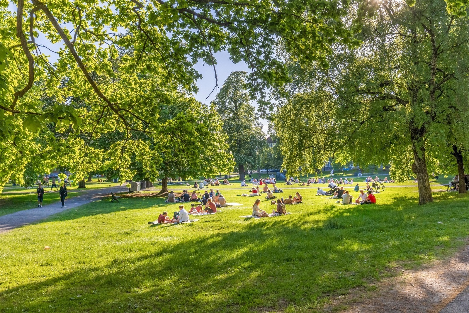 Kort gangavstand til Sofienbergparken med store grøntarealer, ballplass og lekeplass Galleribilde