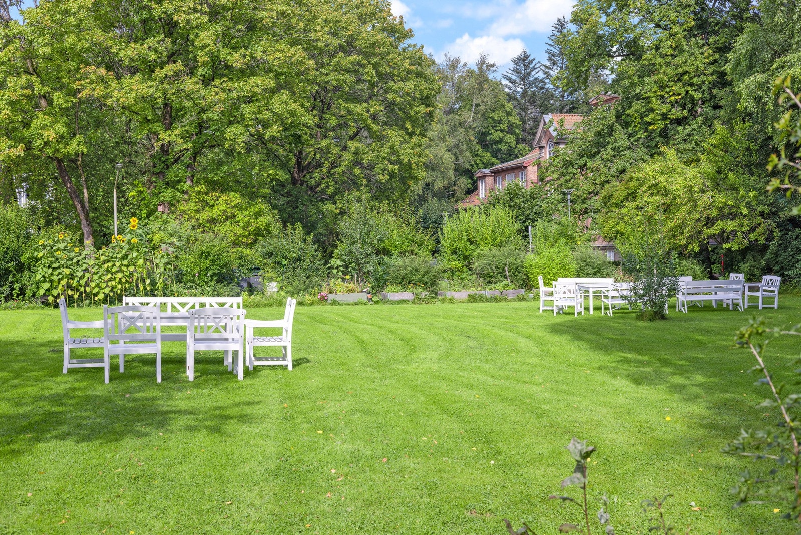 Hagebilde. Galleribilde