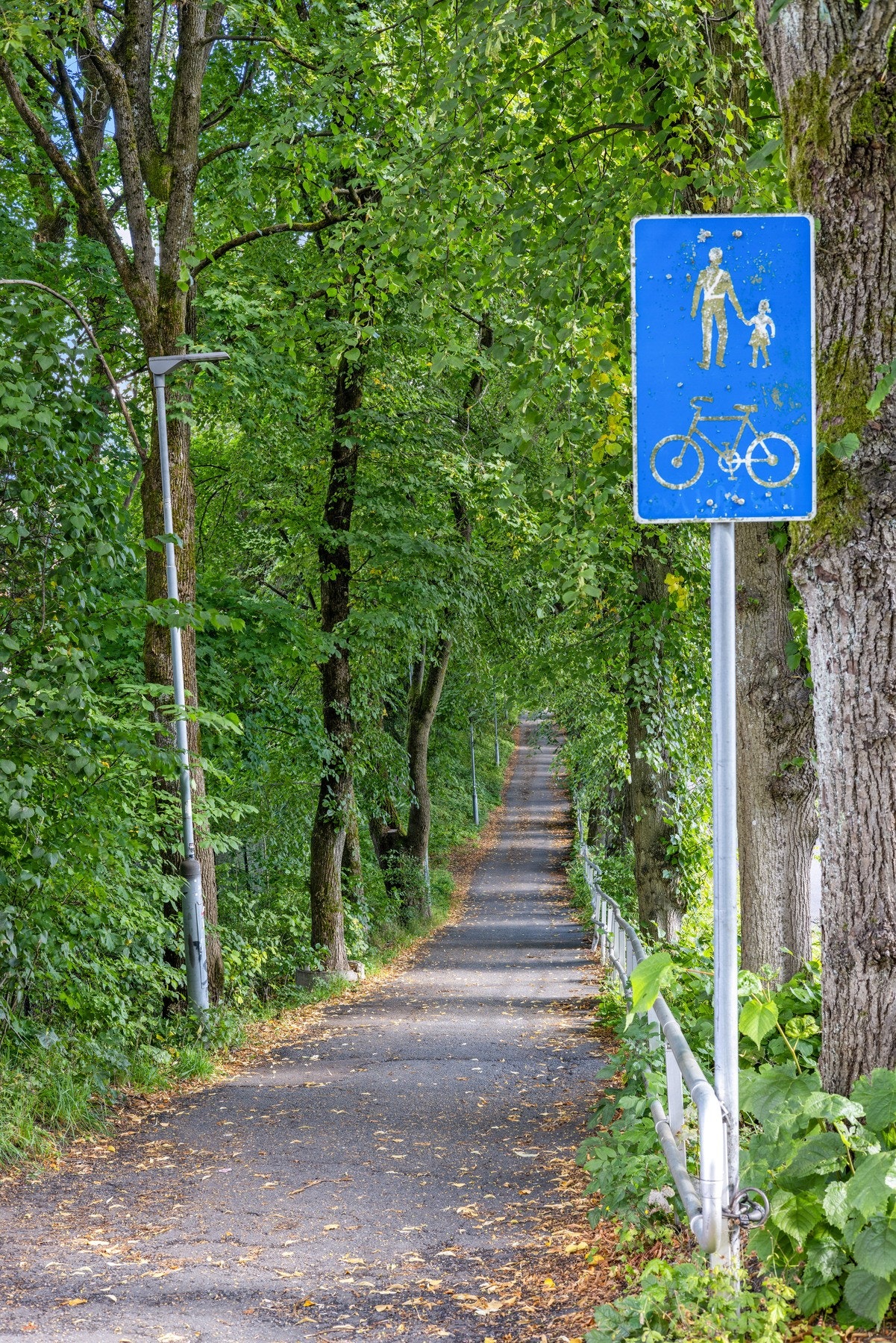 Sykkel -og gangvei starter rett utenfor borettslagets tomt, og det er kun et steinkast til fin sykkelvei langs elva. Galleribilde