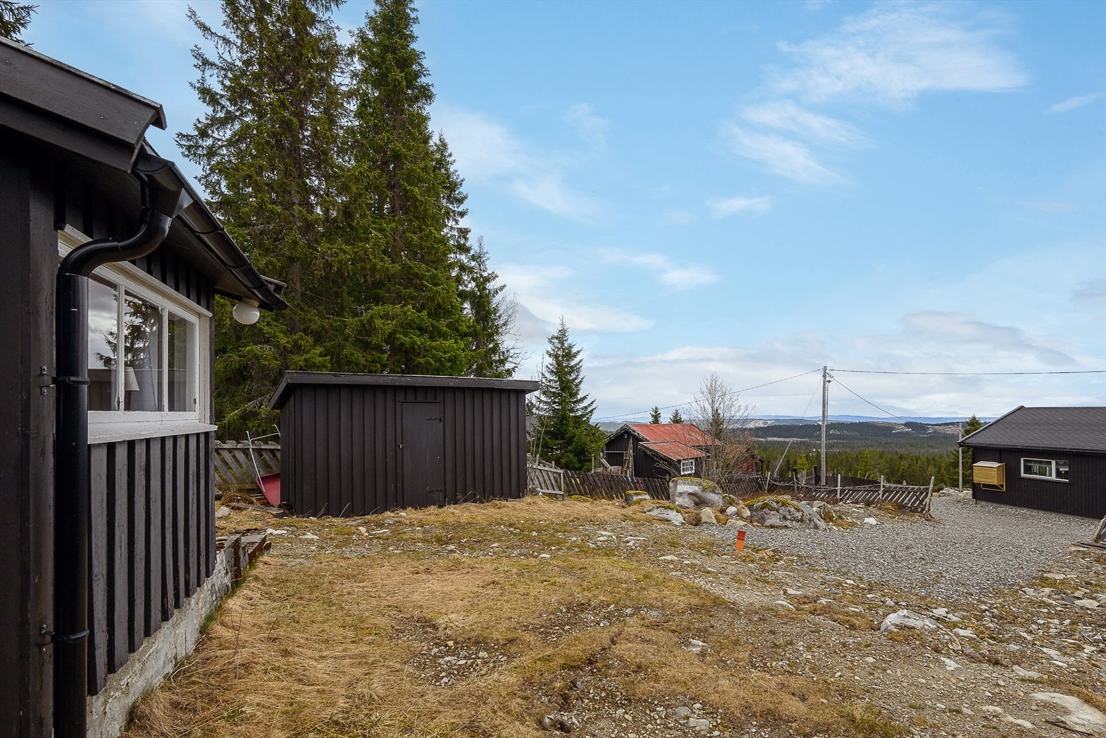 Naturtomt rundt hytta. Galleribilde