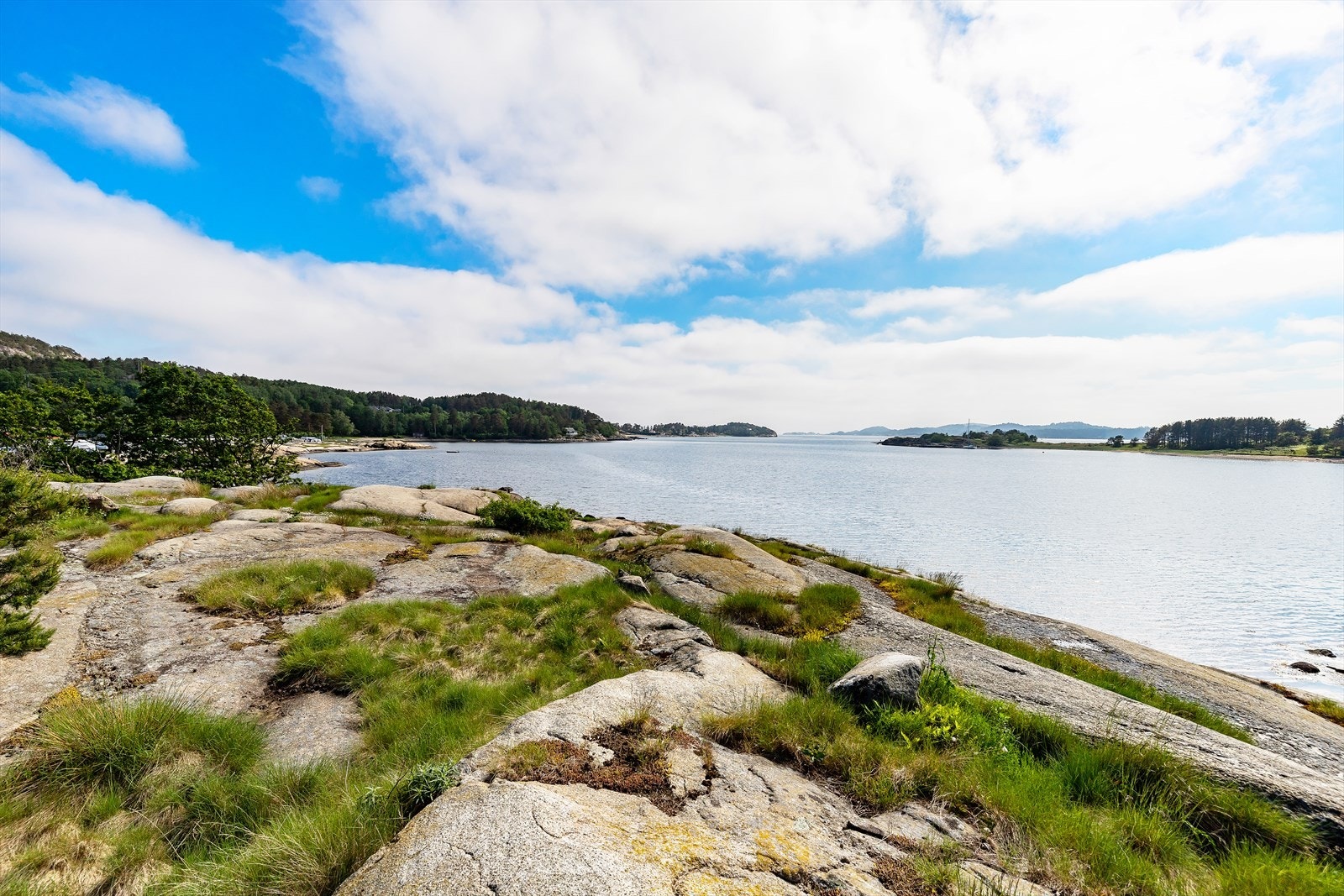 Benytt gjerne kyststien eller gjør et besøk på Galleri Flood. Vesterøya har mange spennende opplevelser å by på. Galleribilde