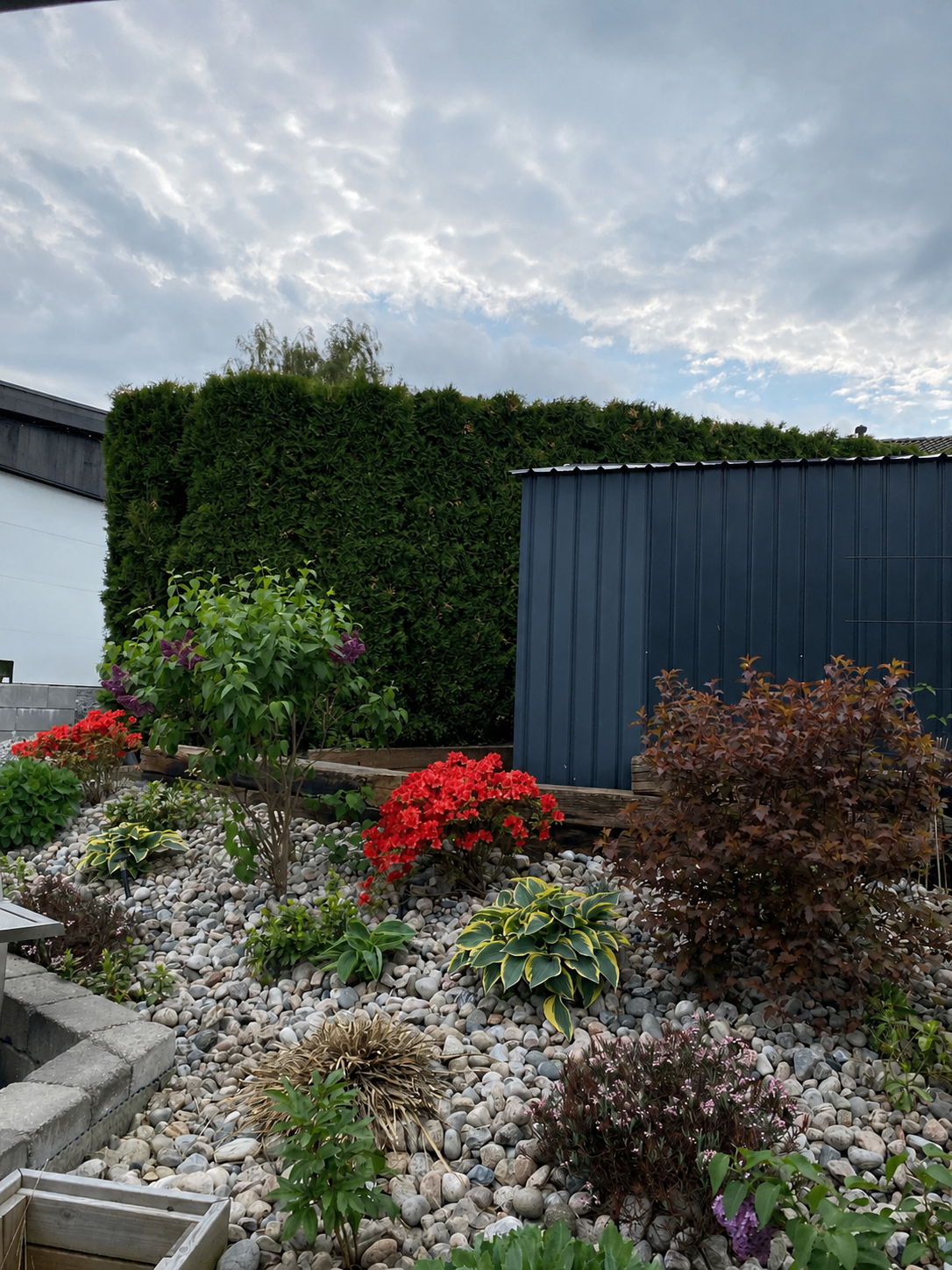 Privat bilde av blomsterbed Galleribilde