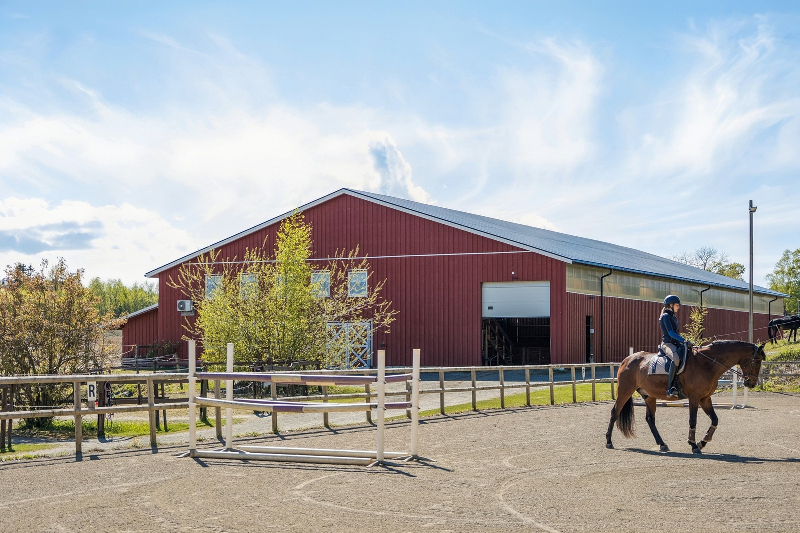Ridebane og ridehall Galleribilde