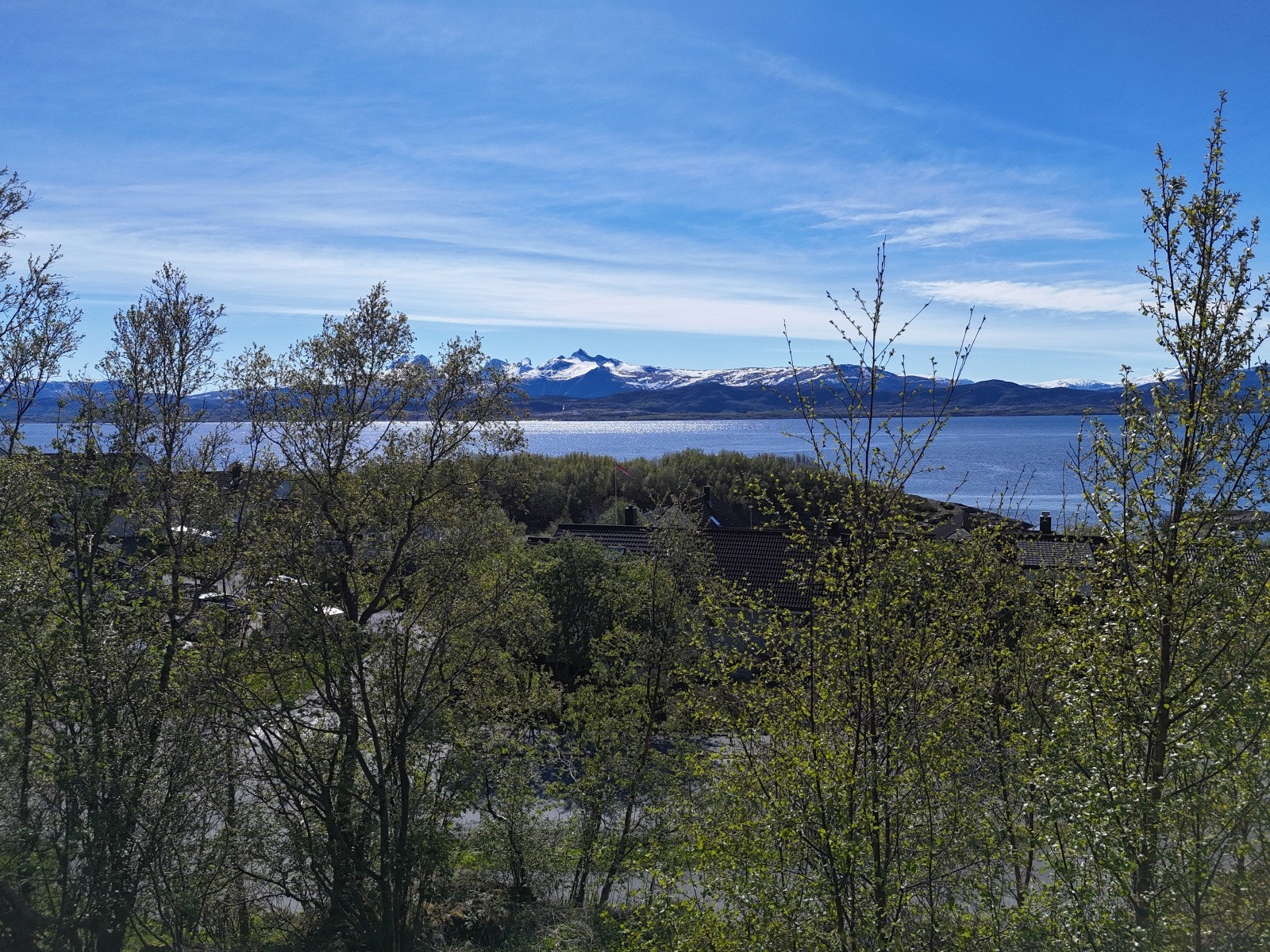 Omgitt av etablert vegetasjon og med utsikt mot fjorden. Galleribilde