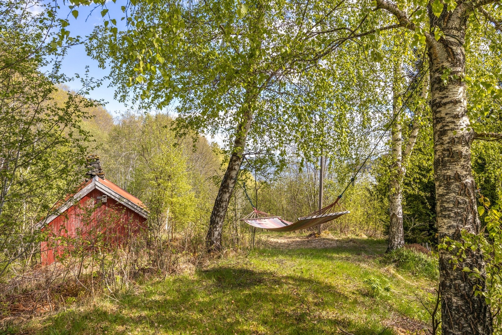Uteområde Galleribilde