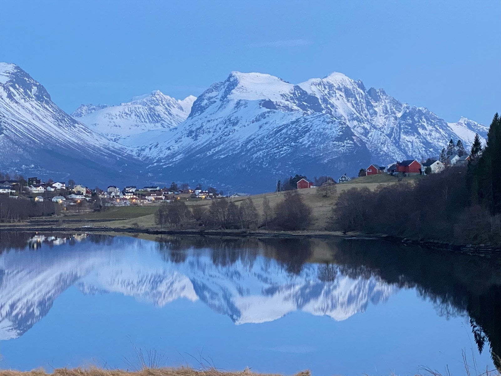 Selger bilde av utsikt Galleribilde