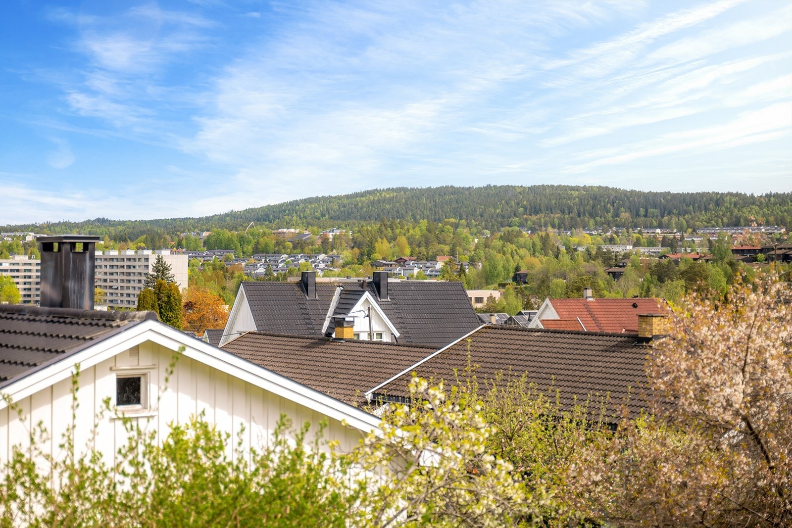 Her kan du kokkelere til et fritt og frodig utsyn. Galleribilde